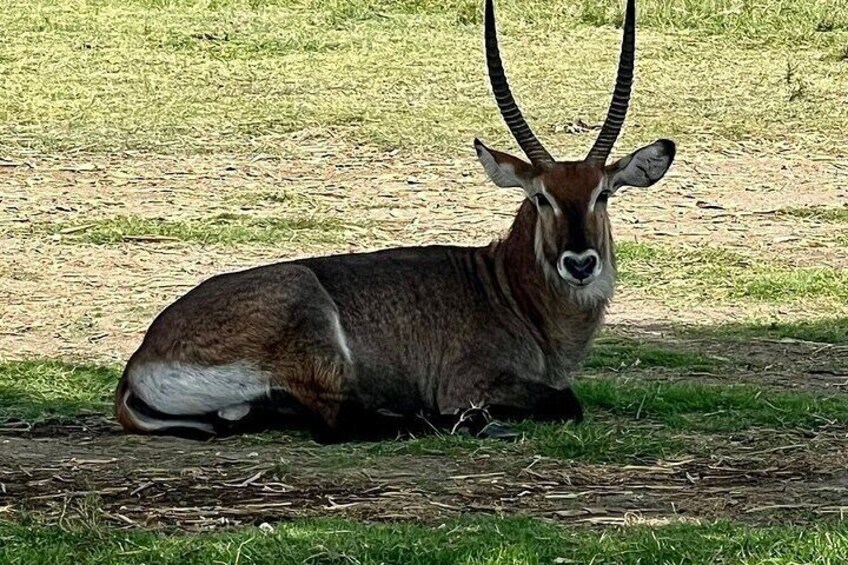 Day Tour to Hells Gate National Park 