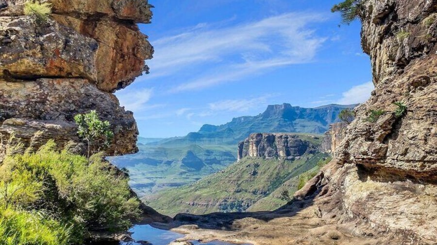 Garden Route and Addo National Park 4 Day Safari