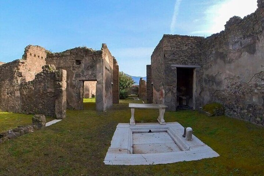 Private Day Trip from Naples to Pompeii Ruins and Mount Vesuvius