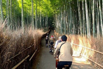 Private Exclusive Kyoto Slow Cycling Tour with Brompton