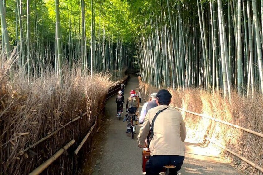 Navigators who know the local area well will show you the charms of a quieter, less touristy Kyoto.