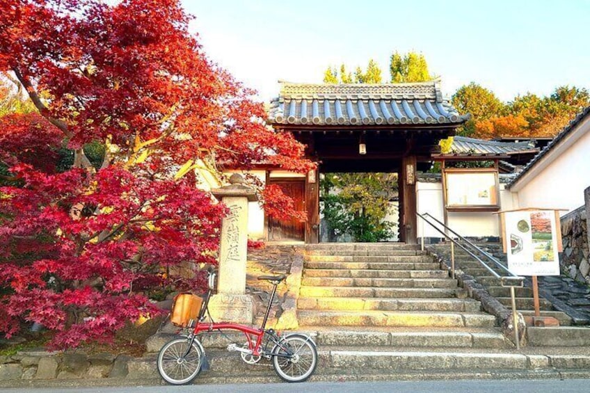 Even in the high autumn season, a short bike ride provides a quiet place to enjoy the autumn colours.