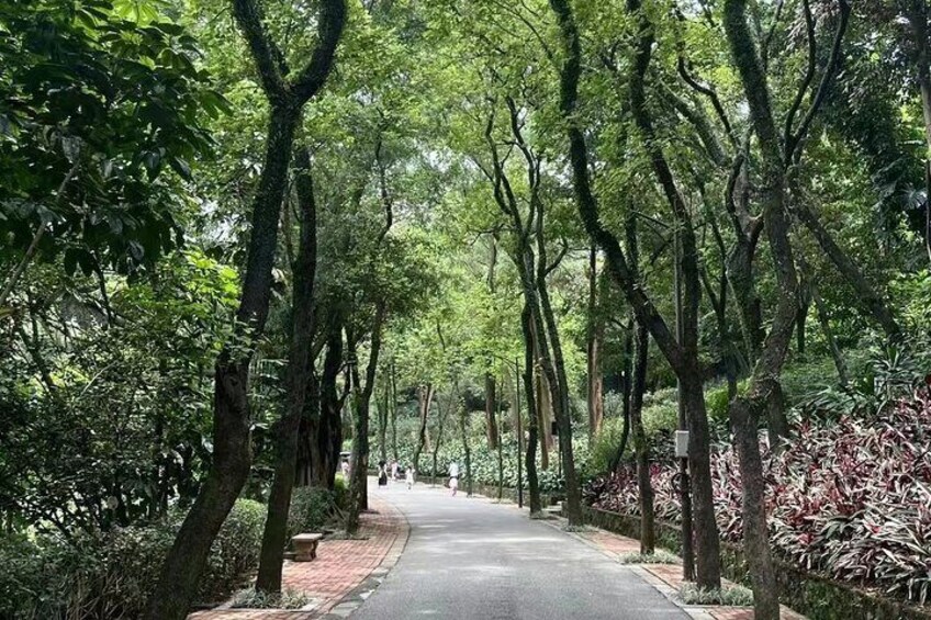 Yuexiu Park