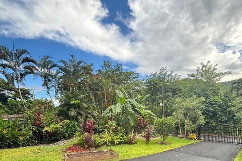 Private Puerto Rican Cooking Class near San Juan with a Local