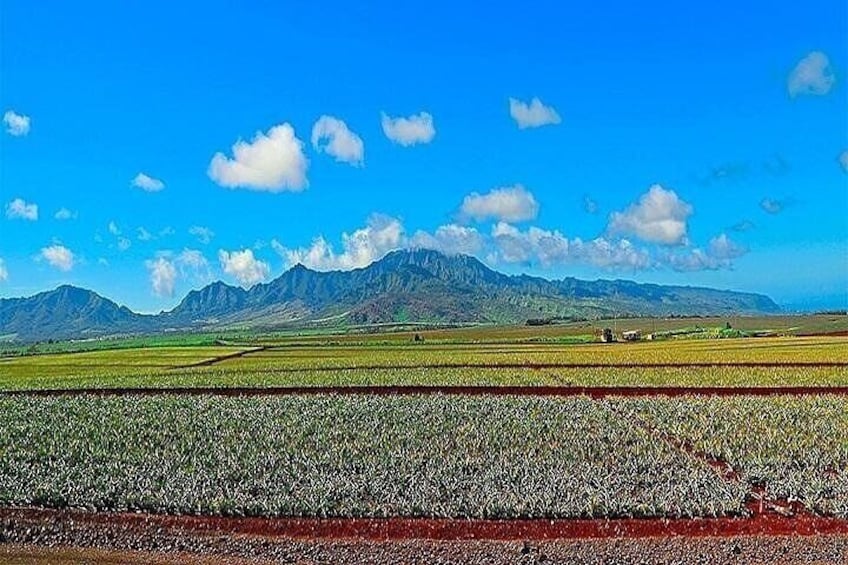 Oahu Grand Circle Island Experience Departing from Maui