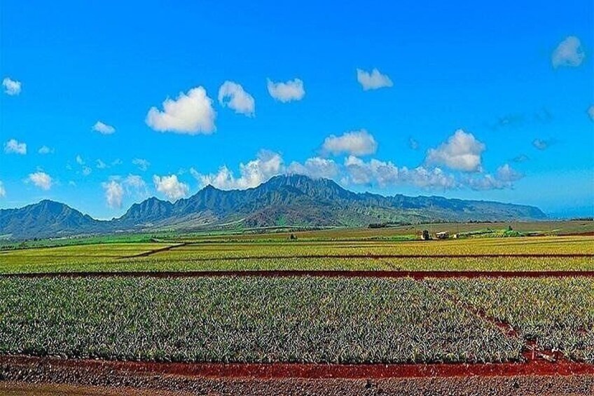 Oahu Grand Circle Island Experience Departing from Kauai