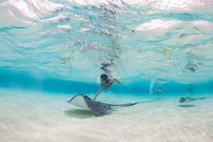 Stingray City Private Charters