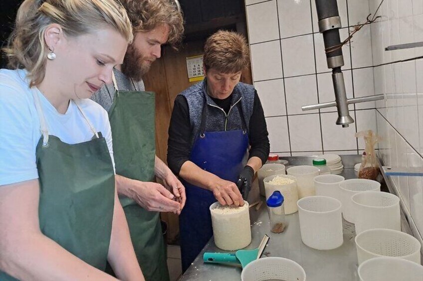 Alpine Dairy Farm Visit and Cheese Making Workshop