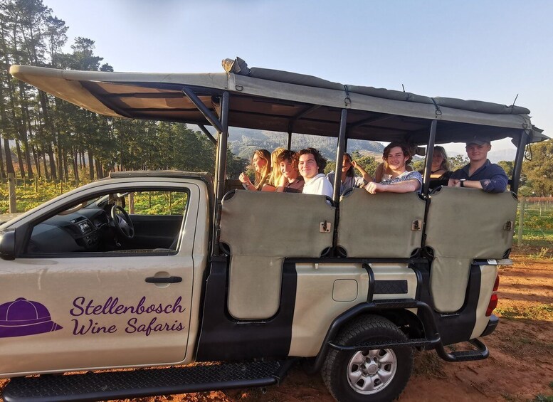 Picture 4 for Activity Stellenbosch: Wine Tasting Safari