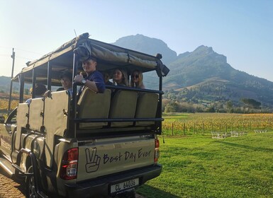 Stellenbosch: Wine Tasting Safari