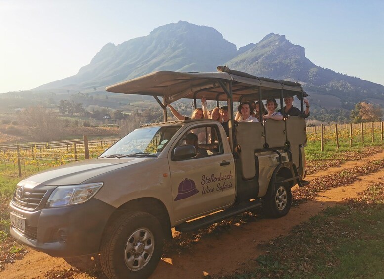 Picture 2 for Activity Stellenbosch: Wine Tasting Safari