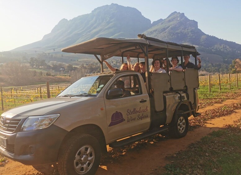 Picture 2 for Activity Stellenbosch: Wine Tasting Safari