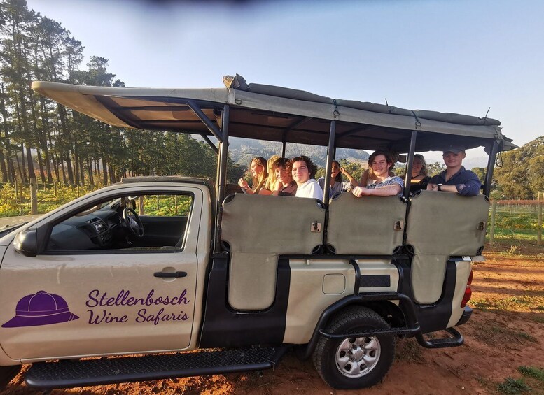 Picture 4 for Activity Stellenbosch: Wine Tasting Safari