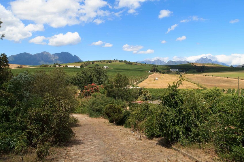 Picture 3 for Activity Stellenbosch: Wine Tasting Safari