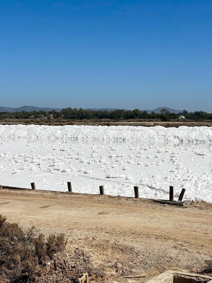 Picture 2 for Activity Algarve: E Motor Bike Faro Island Tour via the Ria Formosa