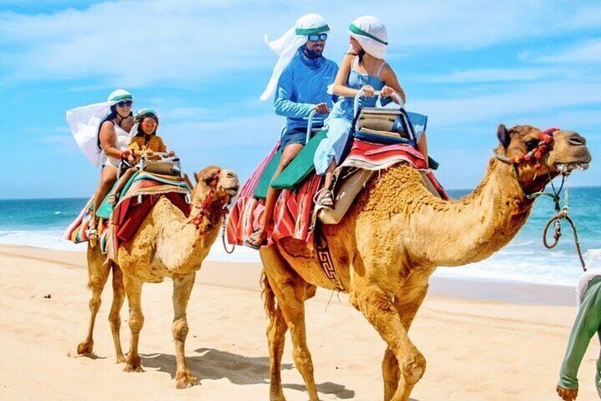 Los Cabos 3 in 1 Adventure Shared Guided Tour