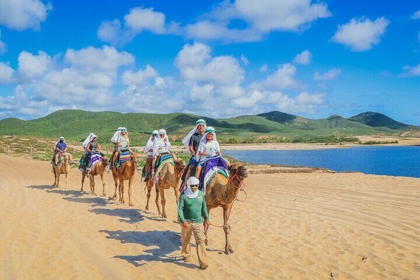 Los Cabos 3 in 1 Adventure Shared Guided Tour