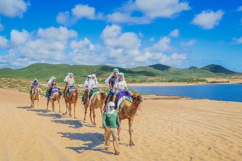 Los Cabos 3 in 1 Adventure Shared Guided Tour