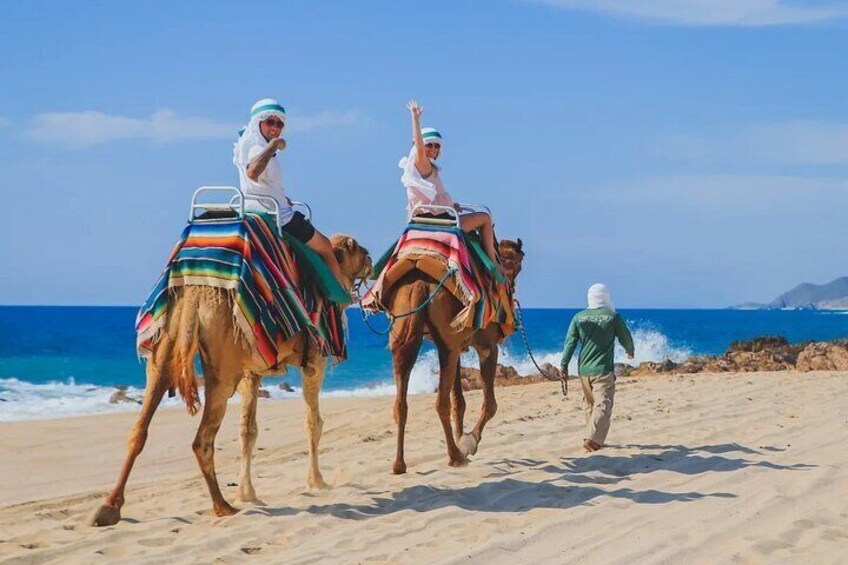 Los Cabos 3 in 1 Adventure Shared Guided Tour