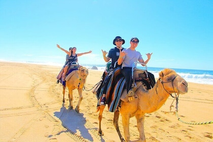 Los Cabos 3 in 1 Adventure: Camel Ride, Lunch and Arch Boat Tour