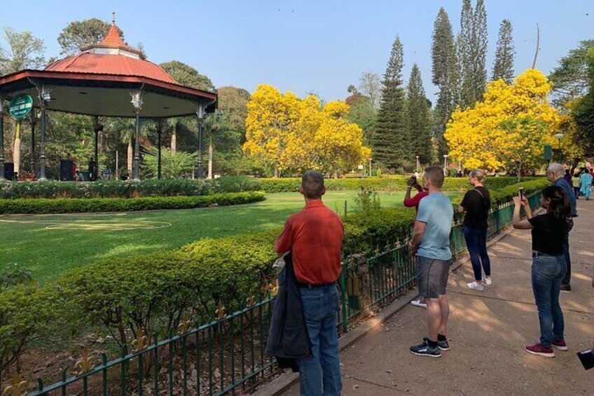 Cubbon Park
