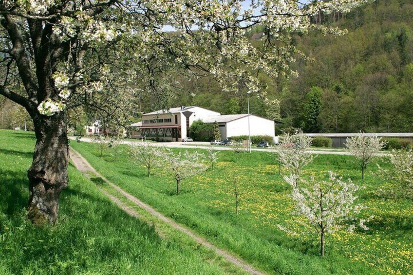 Alsatian Whiskey Initiation Workshop in Lapoutroie