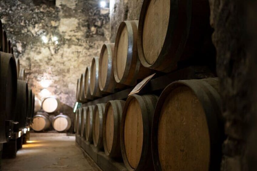 from Rome Montepulciano and Montalcino, the Wine Routes