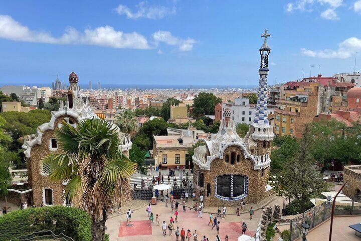 Guell Park Time-Saver Ticket 