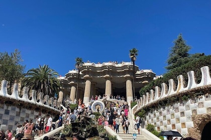 Guell Park Time-Saver Ticket