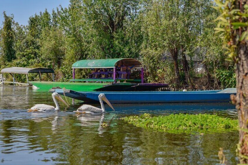 Floating party in Xochimilco with drinks and snacks