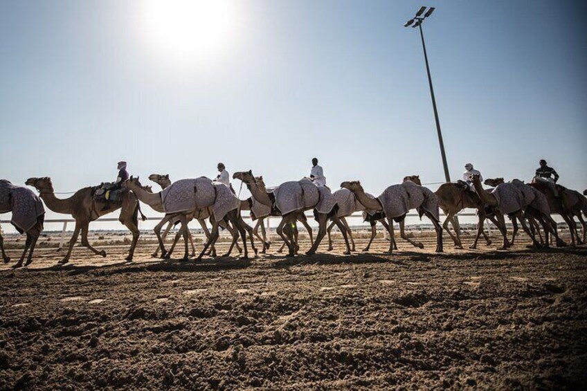 Combo West and North of Qatar Tour