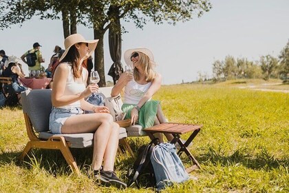 Winery & Wine tasting on Zagorje hill - private tour near Zagreb