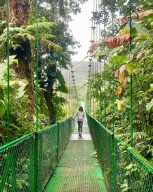 Monteverde: Cloud Forest Hanging Bridges Guided Tour