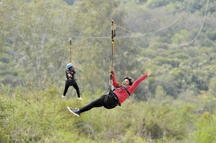 4 Day Garden Route Tour from Cape Town A Hiking and Safari