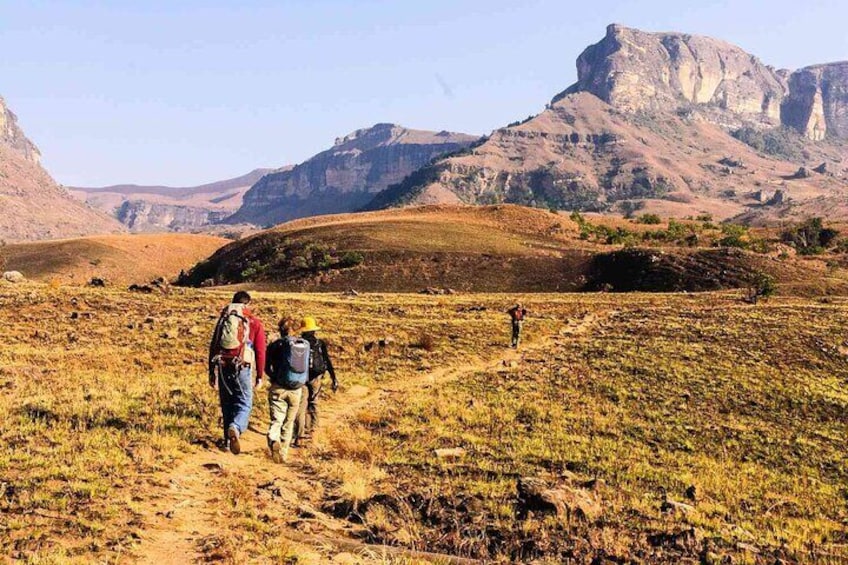 4 Day Garden Route Tour from Cape Town A Hiking and Safari