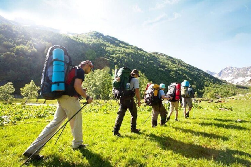 4 Day Garden Route Tour from Cape Town A Hiking and Safari
