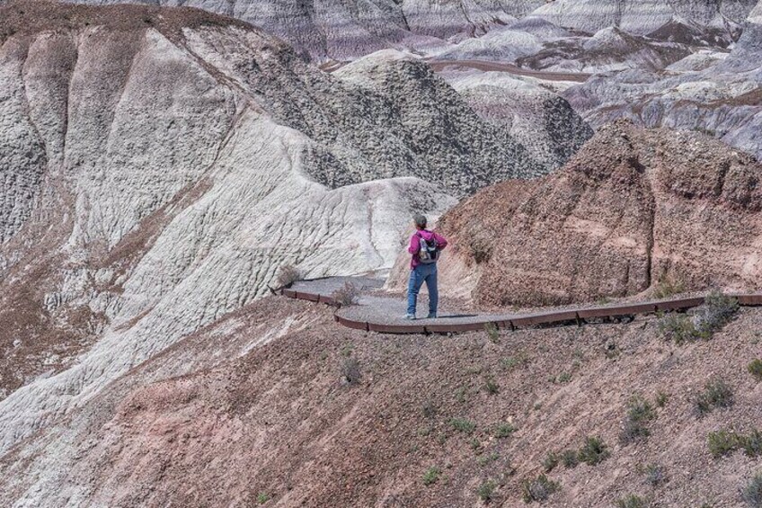 Self-Guided Audio Driving Tour in Petrified Forest National Park