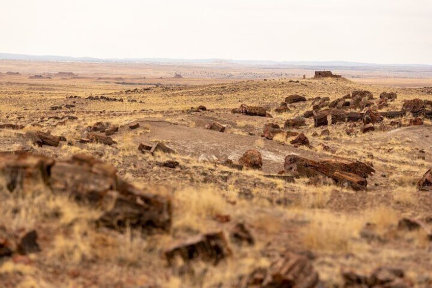 Self-Guided Audio Driving Tour in Petrified Forest National Park