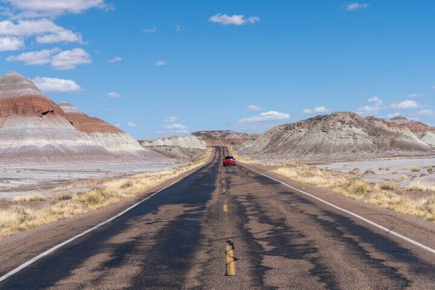 Self-Guided Audio Driving Tour in Petrified Forest National Park