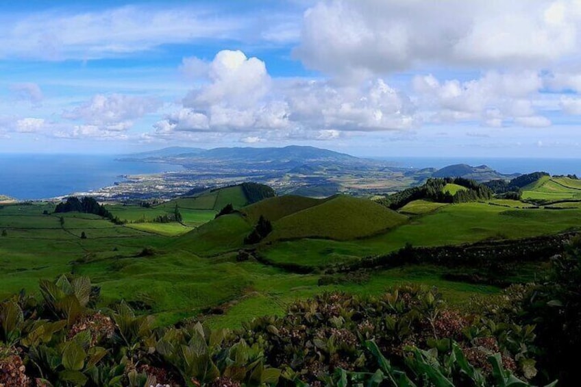 Magical World of Beekeeping on São Miguel Azores Private Tour