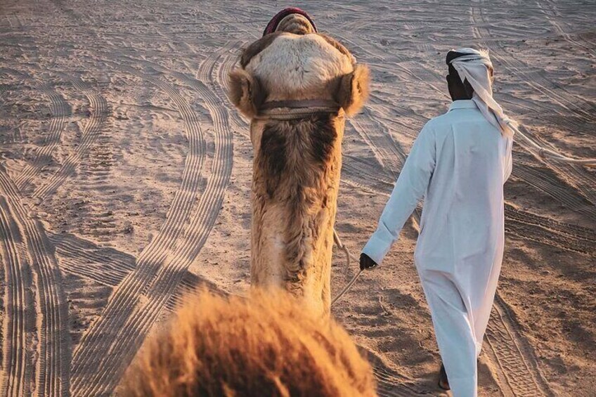 Private Doha Quad Bike, Horse Ride, Camel Ride All Inclusive Tour