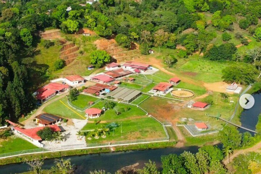 Kayak hiking horse ride and canopy private tour in the Caribbean 