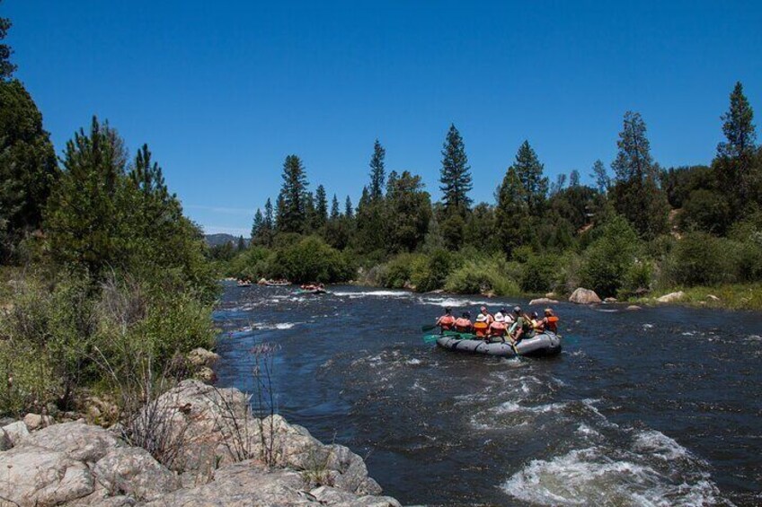 South Fork American River Whitewater Rafting Trip