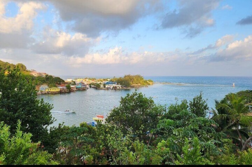 East Side Mangrove Tunnel with Garifuna Village Lunch and Drink