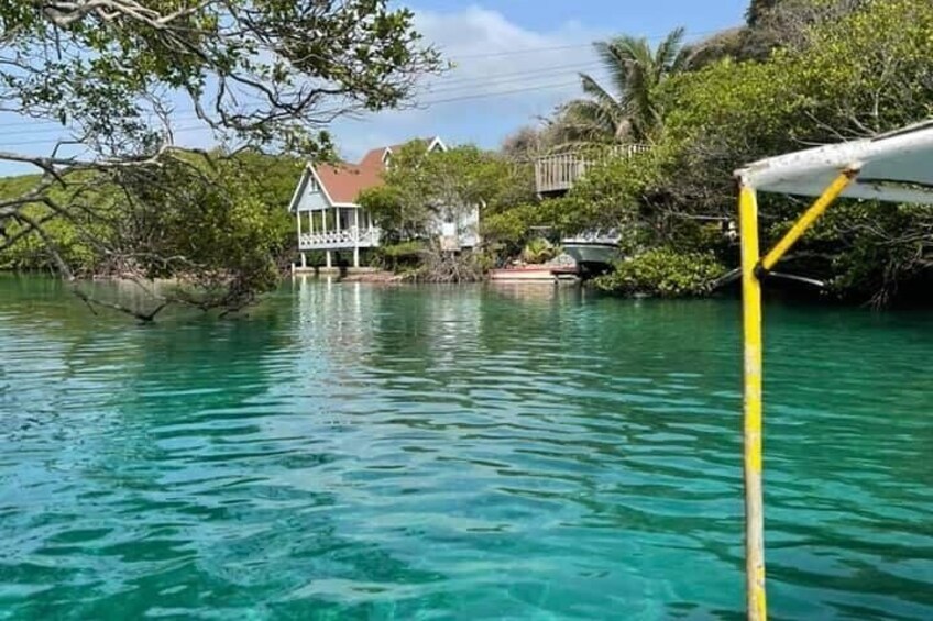 East Side Mangrove Tunnel with Garifuna Village Lunch and Drink