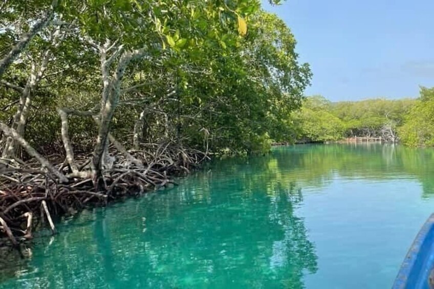 East Side Mangrove Tunnel with Garifuna Village Lunch and Drink