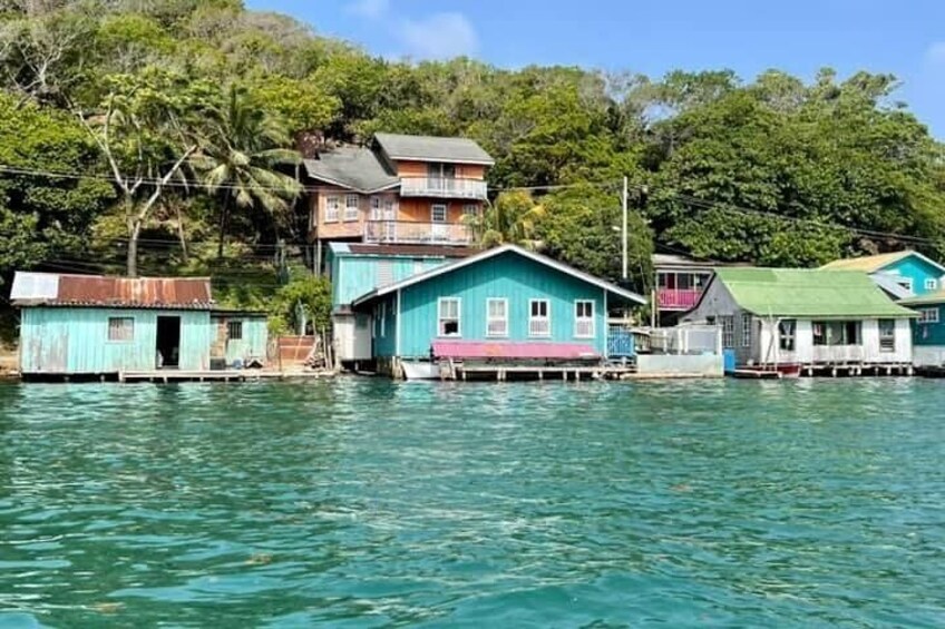 East Side Mangrove Tunnel with Garifuna Village Lunch and Drink