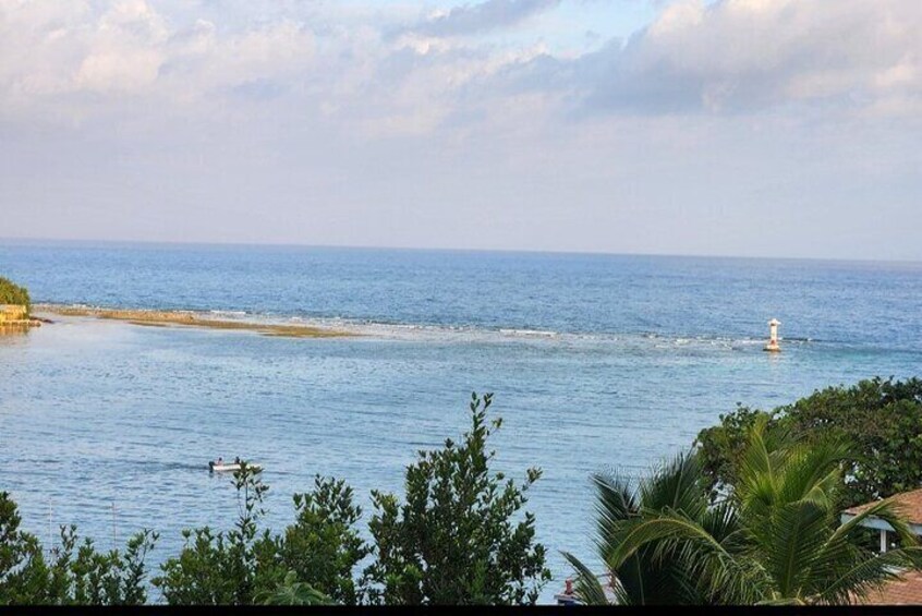 East Side Mangrove Tunnel with Garifuna Village Lunch and Drink