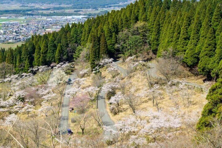 Day Tour to Miyazaki Takachiho Gorge & Shrine depart from Fukuoka