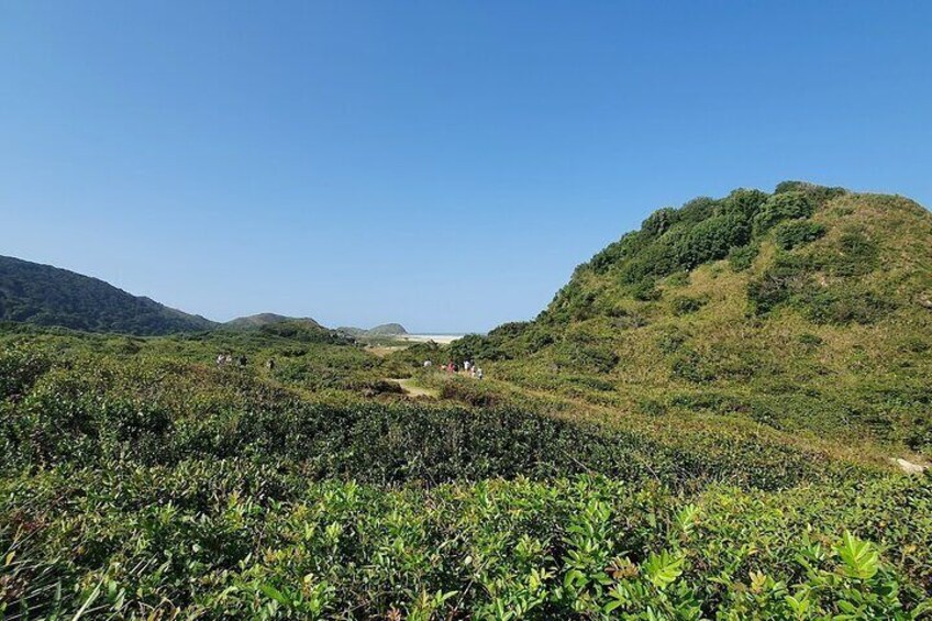 Private tour of Ilha do Mel